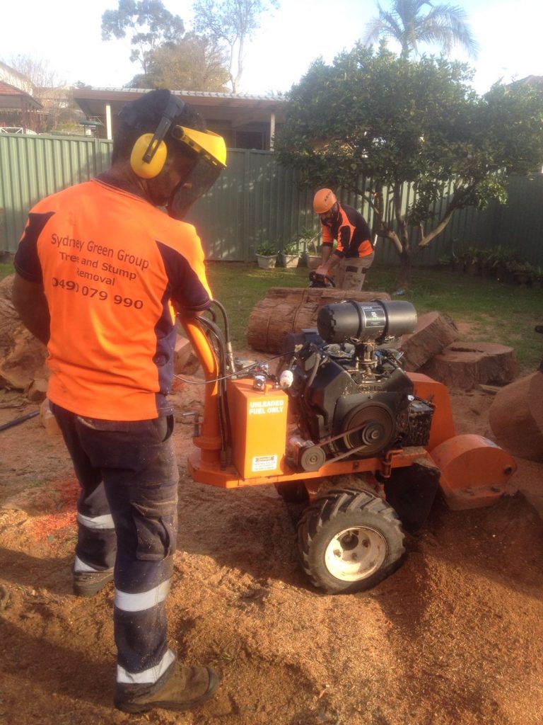 Tree Services Sydney