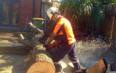 Affordable Tree Removal Sydney Services