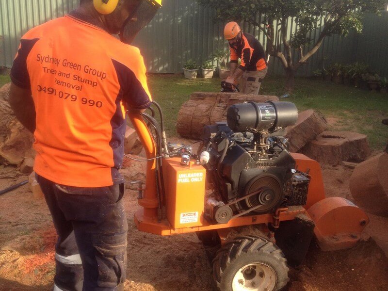 Stump Grinding Near Me - Stump Grinding Sydney