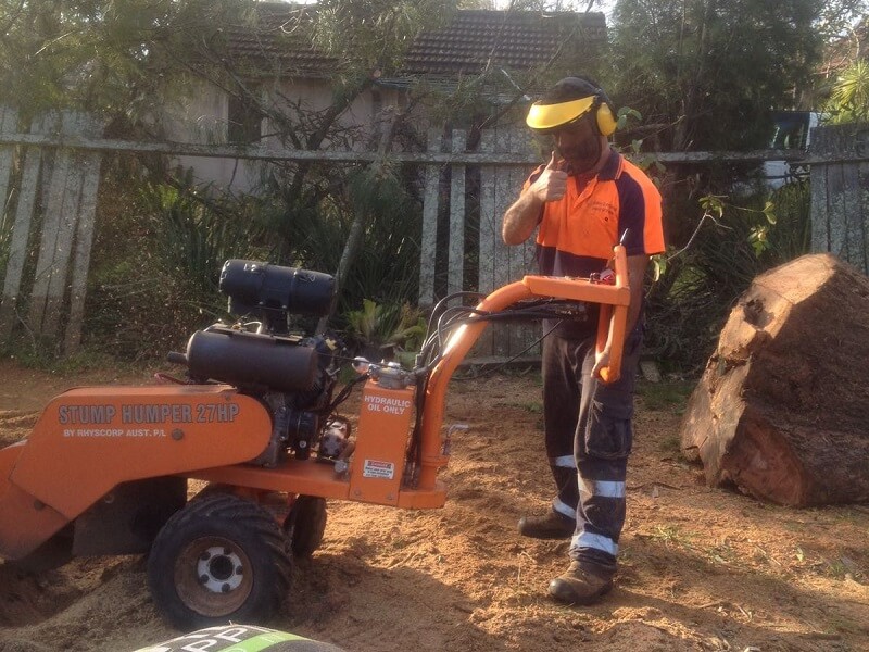Stump Grinding Sydney Services