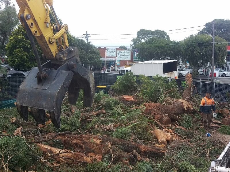 Sydney Land Clearing Services